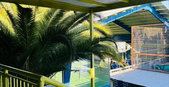 Primeras Reuniones de Apoderados y Apoderadas 2026